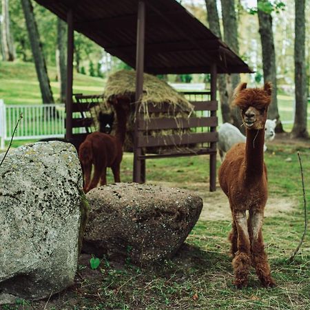 Taujenu Dvaro Sveciu Namai Towiany Exteriér fotografie
