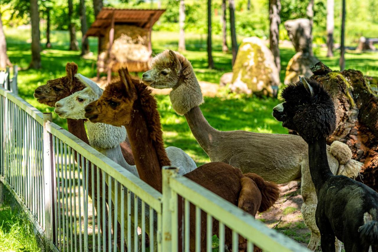 Taujenu Dvaro Sveciu Namai Towiany Exteriér fotografie
